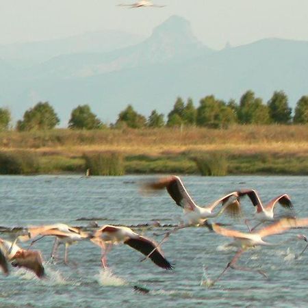 Agriturismo Bachile Bertula Villa Riola Sardo Bagian luar foto