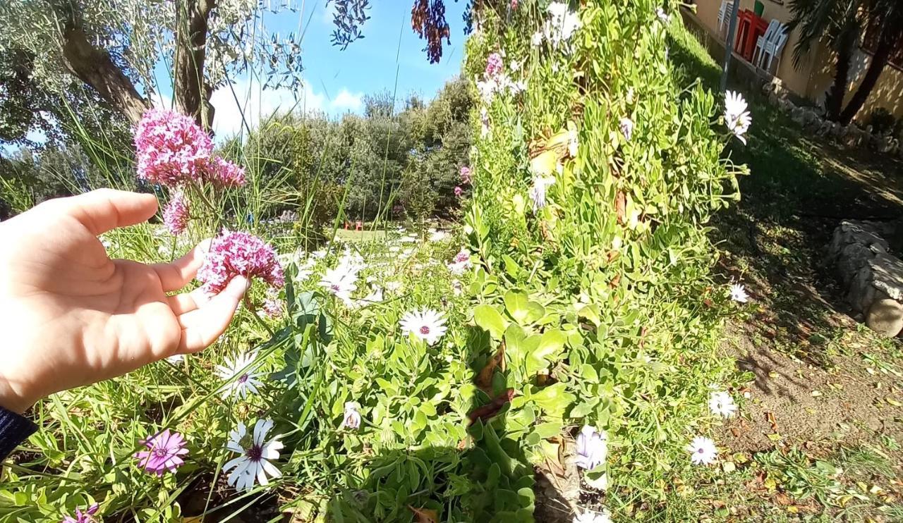 Agriturismo Bachile Bertula Villa Riola Sardo Bagian luar foto