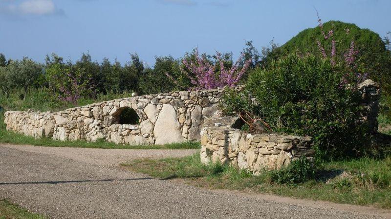 Agriturismo Bachile Bertula Villa Riola Sardo Bagian luar foto